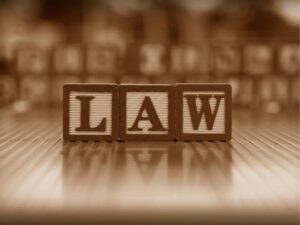 The Role of Law Enforcement and Criminal Justice in Society