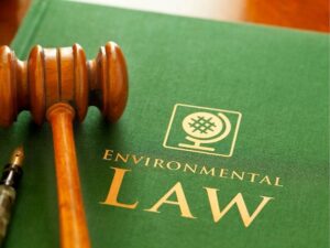 Finding the Right Family Law Attorney in Baton Rouge: Your Guide to Navigating Legal Challenges