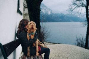 Pet Trust Estate Planning: How to Plan for Animal Care